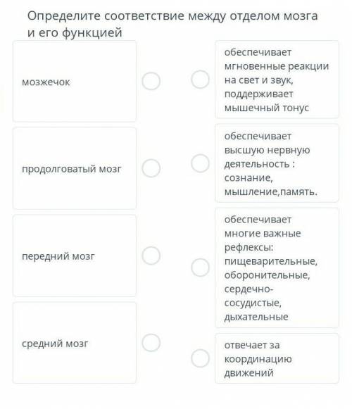 Определите соотвествие между отделом мозга и его функцией помгите