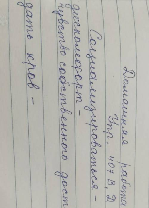 407Б. Что вы можете предложить для решения проблем социальной защиты бездомных? Объясните, почему во