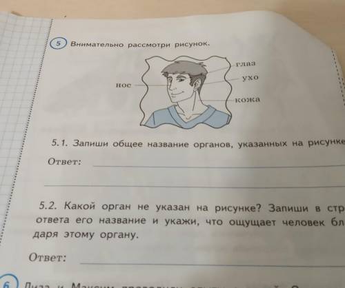 5 Внимательно рассмотри рисунок.-глазухонос-кожа5.1. Запиши общее название органов, указанных на рис