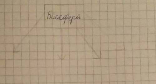 составьте кластер «состав биосферы» по Вернадскому .Обозначьте составные части биосферы на схеме мне