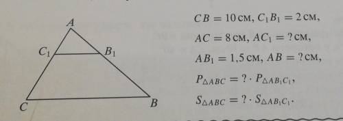 Изображен треугольник АВС. Отрезок В1С1, параллелен стороне ВС. Установите, что нужно написать вмест
