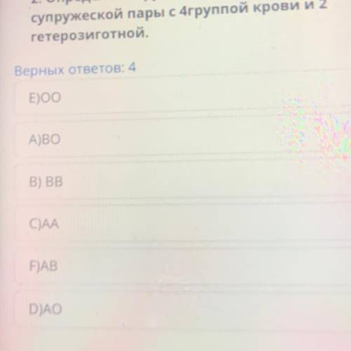 2. Определите группы крови детей супружеской пары с 4группой крови и 2 гетерозиготной.