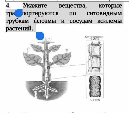 Сор естествознание 6 класс 3 четверть ​