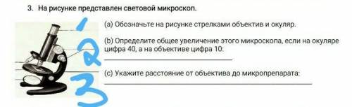 Установите соответствие между уровнем организации живых организмов и их характеристикой:уровень орга