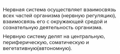 ответь на вопросы: 1. Какова основная роль нервной системы? 2. Какие части нервной системы? 3. Назов