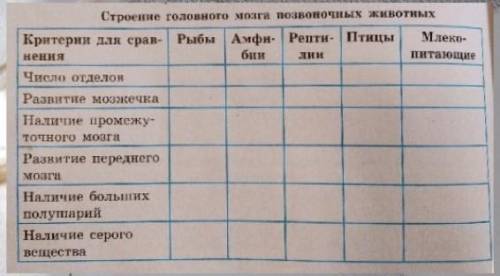 Сравните строение головного мозга позвоночных животных. Заполните таблицу​