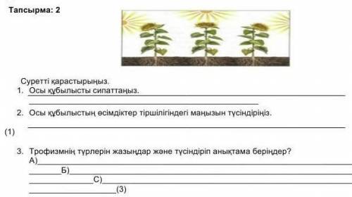 Бәрін істеп бееріндерші берем​