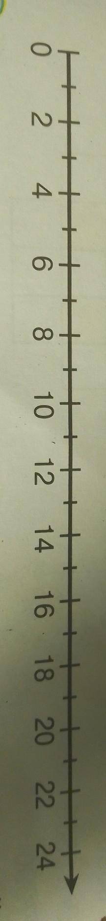 Сол. 7) Движение улитки по координатному лучу описывается формулойх = 2 + 4 . t (время t — в часах).