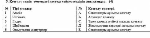 5 задание Сәйкестендіру можно побыстрее‼‼‼‼​