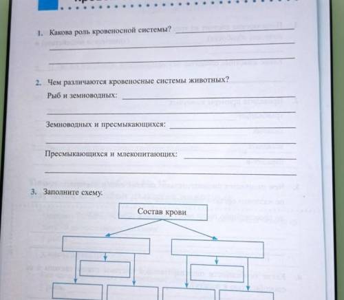 Заполните схему кровеносной системы кровь​