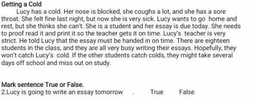 Mark sentence True or False. 2.Lucy is going to write an essay tomorrow . True False Английский Сор