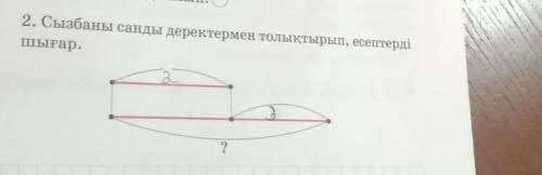 2. Сызбаны саны деректермен толтыру, есептері​