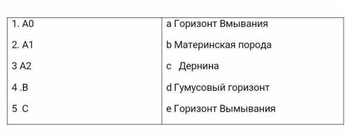 Установите соответствие почвенных горизонтов.​