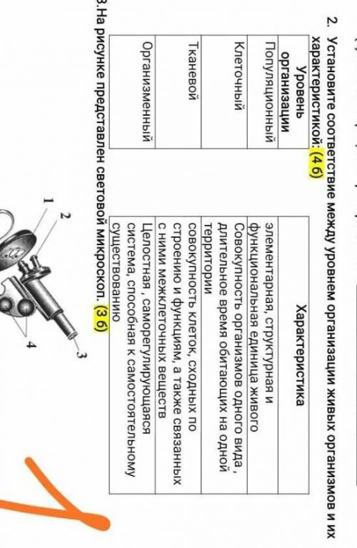 Установите соответствие между уровнем организации живых организмов и их характеристикой​