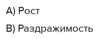 А)Определите свойство живых организмов, изображенное на рисункаха) и В):a)в)В)Объясните свойство жив