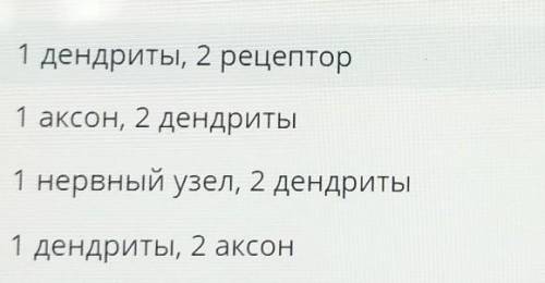 ТЕКСТ ЗАДАНИЯ Определ. 2 структурные компоненты нервной клетки1Клеточное тело2Миелиновая оболочкаЯдр