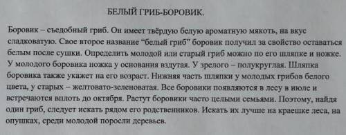 Найдите предложение с однородными членами предложения. Подчеркните однородные чнлены в предложении ​