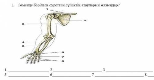 Напишите названия костей на картинке нижеесли есть все ответы дайте​