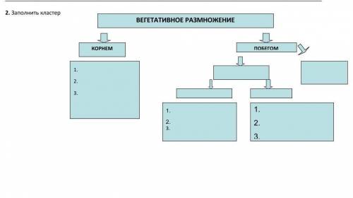 Заполните кластер по биологии ​