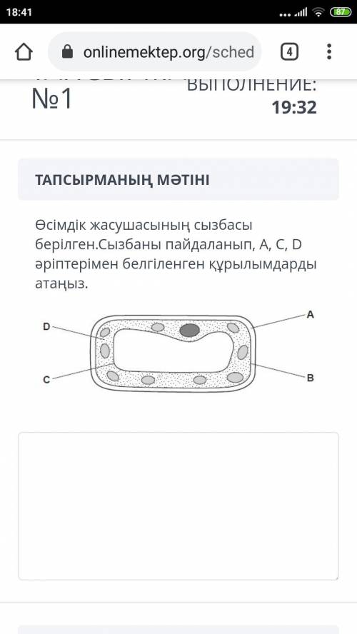 перевод:Вот схема растительной клетки. Используя схему, назовите структуры, отмеченные буквами A, C,