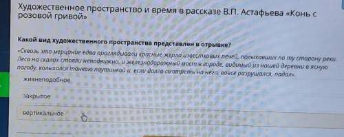 Какой вид художественного пространства представлен в отрывке? «Сквозь это мерцание едва проглядывали