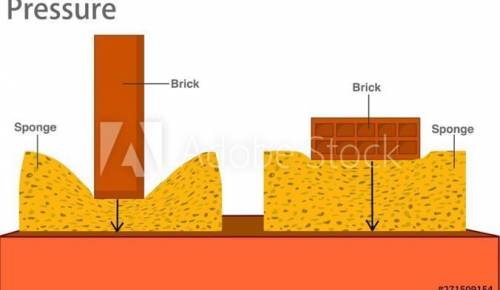 Сравните приведенные изображения и выясните, в каком случае применяется наименьшее давление. Пояснит