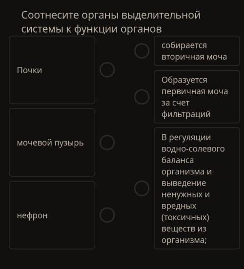 Соотнесите органы выделительной системы к функции органов​