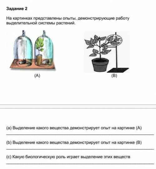 (a) Выделение какого вещества демонстрирует опыт на картинке (А)  (b) Выделение какого вещества демо