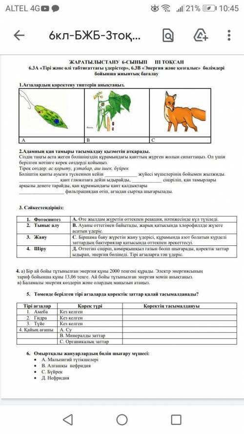 с Сор Отыныш комектесынш Бжб жаратылыс тану дан отыныш