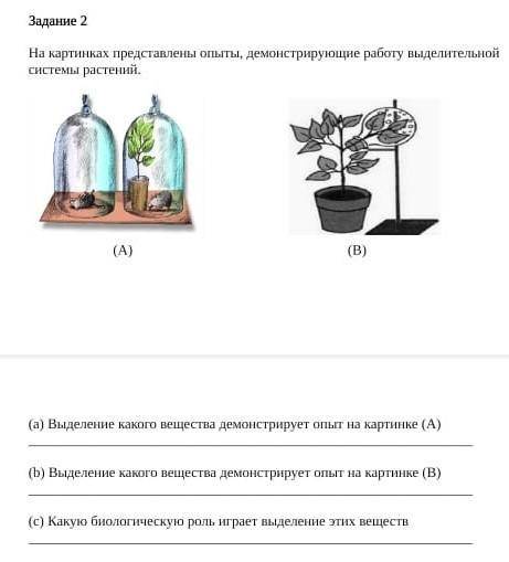 На картинках предоставлены опыты демонстрирующие работу водитель единой системы растений выделение к