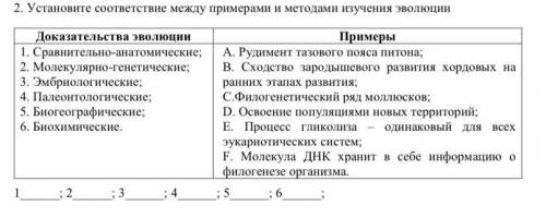 Установите соответствие между примерами и методами изучения эволюции