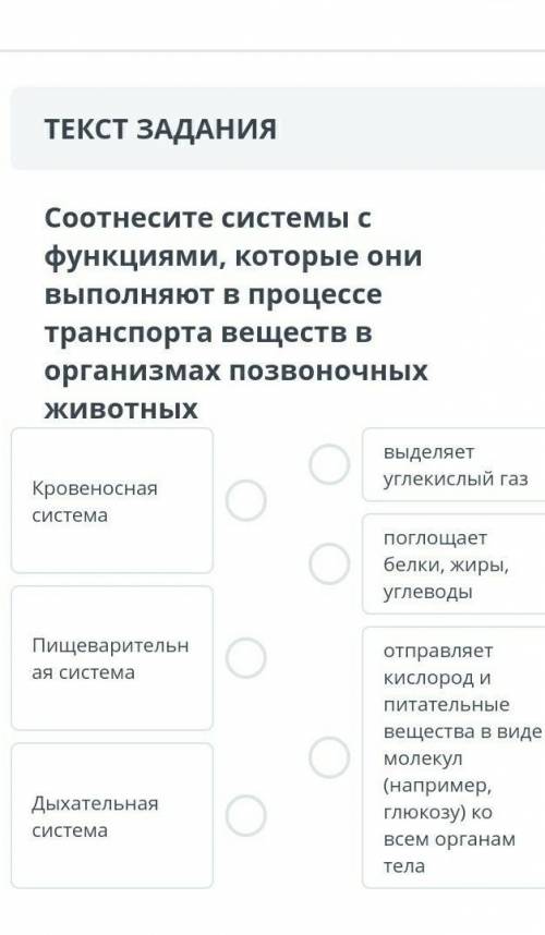 Соотнесите системы с функциями, которые онивыполняют в процессетранспорта веществ Ворганизмах позвон