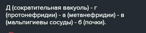 Установите соответствие животных с их органами выделения ЛанцетникПочкиИнфузорииПротонефридииШмельСо