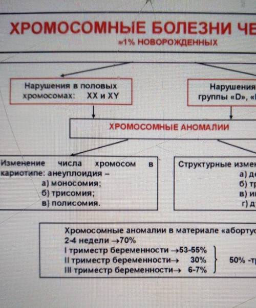 Назовите одно хромосомное заболевание человека, связанное с изменением числа не половых хромосом. оп