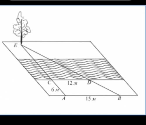 Найдите расстояние от пункта A, стоящего на одном берегу реки, до дерева E на другом берегу (см. рис