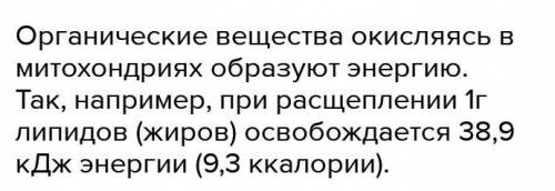 Почему обмен веществ и энергии является основным признаком живого организма?Как связаны вещество (пи