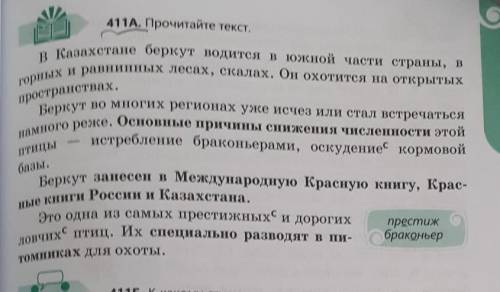 411Б. Почему беркут назван престижной птицей? Задайте Одноклассникам Вопросы по тексту, в ответах