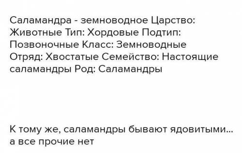 Какое животное лишнее :аллигатор, анаконда, саламандра, черепаха, удав? Почему? к. Р. ​