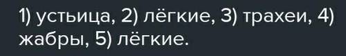 (b) Дополните предложения, вставив пропущенные слова по смыслу. (органы дыхания, устьица, трахеи, че