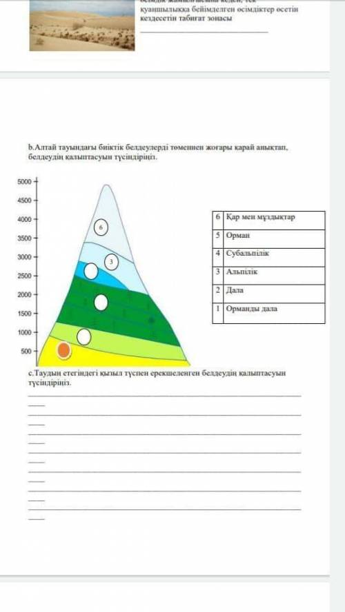 СОР ПО ГЕОГРАФИИ 3 ТОКСАН 1 БЖБ 8 КЛАСС