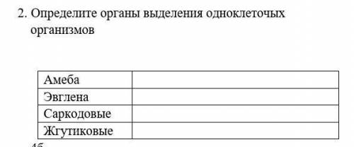 Определите органы выделения одноклеточых организмов​