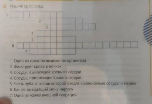 1.Один из органов выделения организма.х 2. Фильтрует кровь в почках3. Сосуды, выносящие кровь из сер