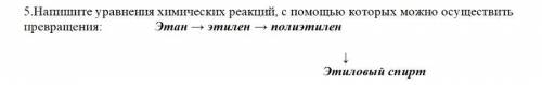 Напишите ответ .как правильно выполнить?