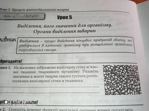 Будь ласка до іть завдання 1,3,4) ,через пару хвилин здавати...