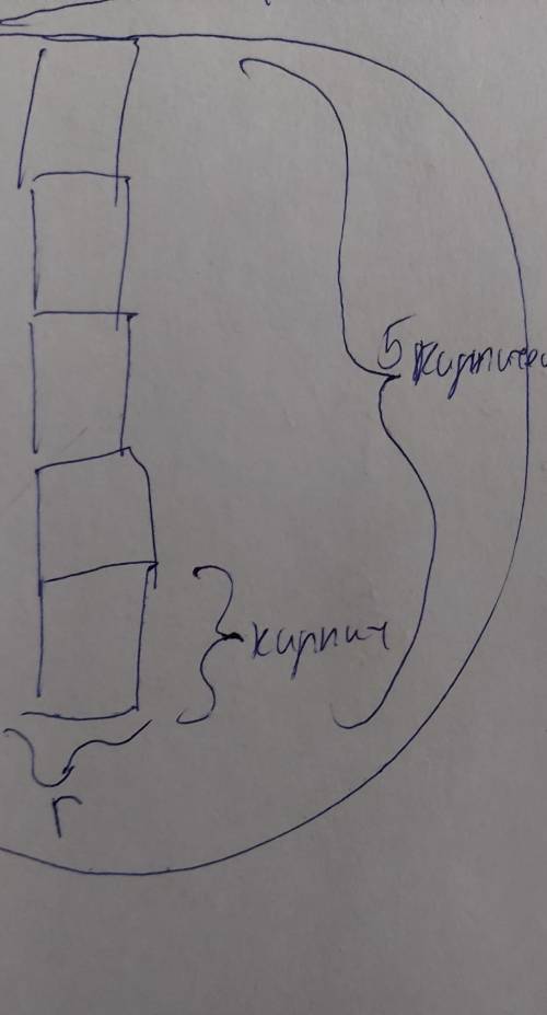 Как расположить 5 кирпичей, чтобы они оказывали максимальное давление? (сделать рисунок)