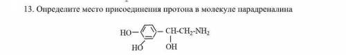 Определите место присоединения протона в молекуле парадреналина