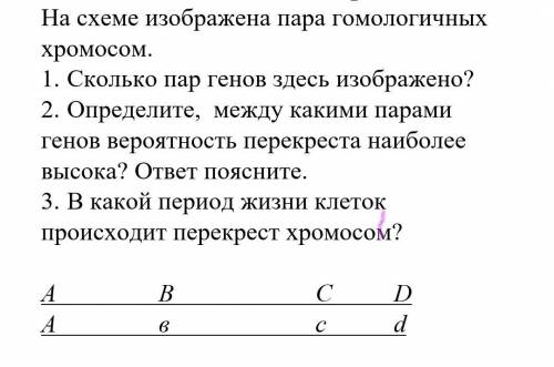 На схеме изображена пара гомологичных хромосом. 1. Сколько пар генов здесь изображено? 2. Определите