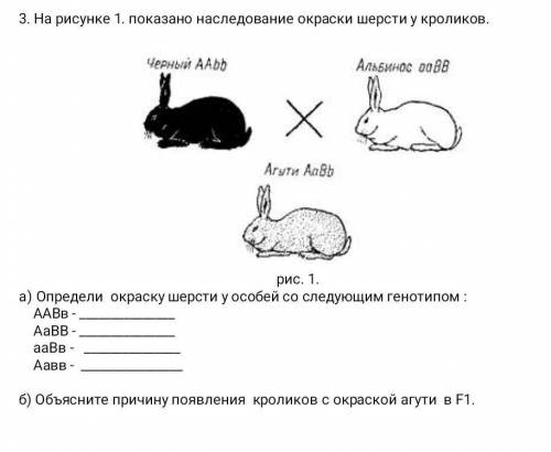 , биология. Закономерности наследственности и изменчивости.​