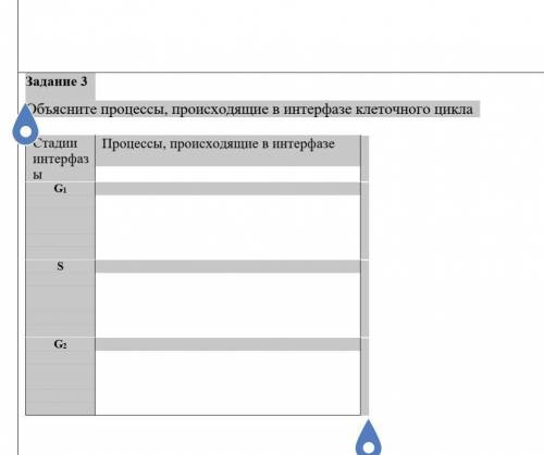 Задание 3 Объясните процессы, происходящие в интерфазе клеточного цикла СтадииинтерфазыПроцессы, про