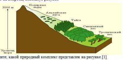 очень ! ответьте на вопросы, используя рисунока. Определите, какой природный комплекс представлен на